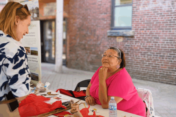 Indigenous Energy Project